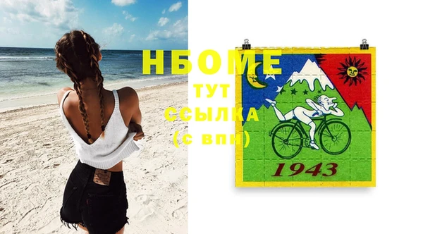 прущие грибы Нея