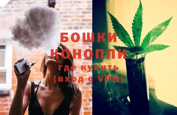 прущие грибы Нея