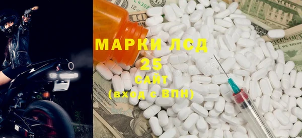 прущие грибы Нея