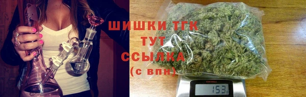 прущие грибы Нея