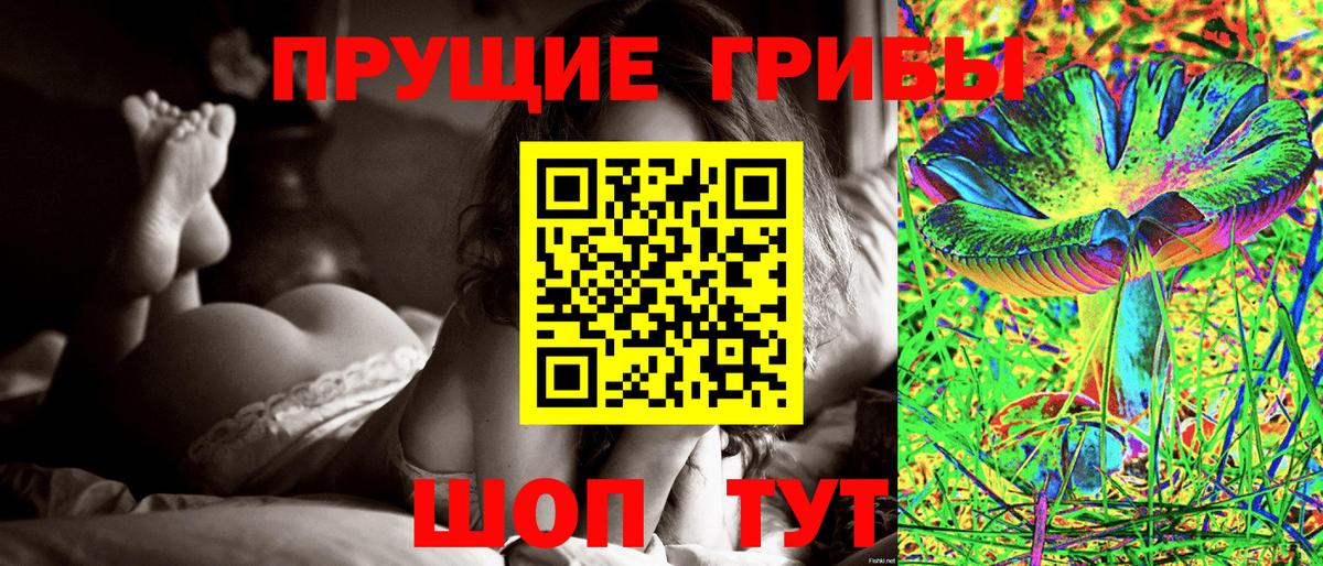 Галлюциногенные грибы Psilocybine cubensis  Псилоцибиновые грибы мицелий  Калач-на-Дону 